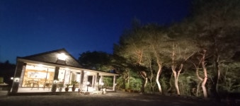 솔카페