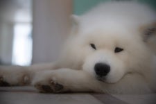 겨울이 머무는 집