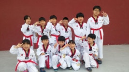 매여울경희대태권도
