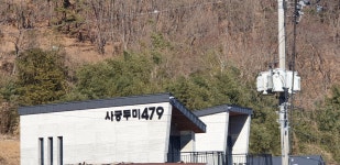 사궁두미479