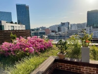 W에이스짐/스포츠재활센터