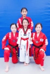 매여울경희대태권도