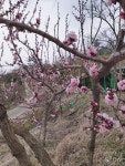 제네미길561