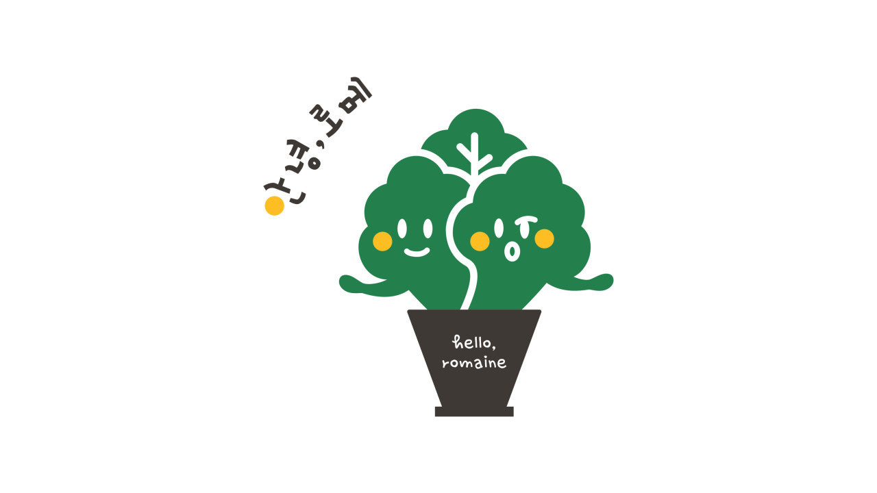 안녕,로메