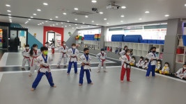 용인대국가대표태권도장