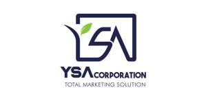 와이에스에이 홀딩스