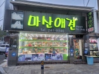마산애견