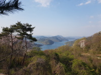 로하스캠핑장카라반