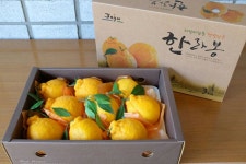 제주큰수산