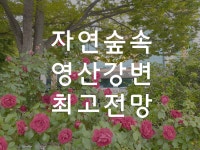 신창사랑병원