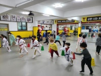 용인대석사화랑태권도장