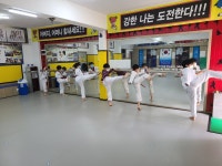 용인대석사화랑태권도장