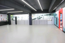 경희대장안태권도