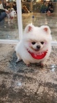 헤이독 대전점
