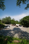 용인둥지골캠핑장