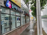 늘푸른동물병원