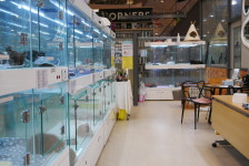 몽몽이하우스 인천연수점