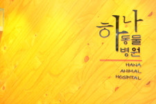 하나동물병원