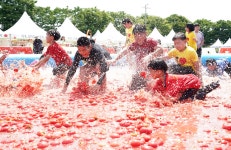 퇴촌토마토 성민농장