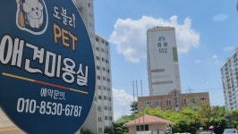 도블리펫