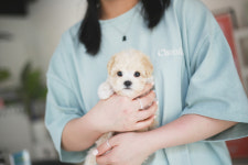 키즈멍 안양본점