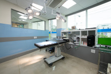 24시코끼리동물의료센터