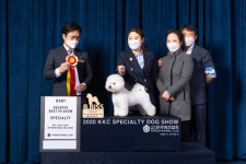 에스티비숑프리제