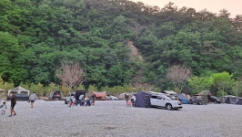 파인트리캠핑장