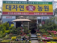 대자연꽃농원