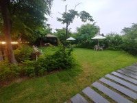 오디가개[애견카페, 애견호텔, 애견유치원, 애견돌봄]