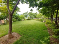 오디가개[애견카페, 애견호텔, 애견유치원, 애견돌봄]