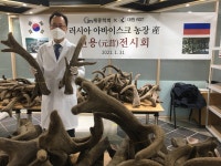 경희나비솔한의원