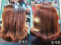 닥터헤나 큐사랑 아라점