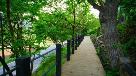 잉카의아침펜션