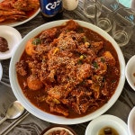 숲속의향기