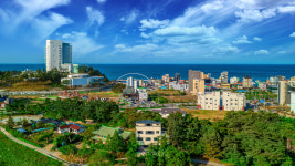 경포코지펜션 애견동반