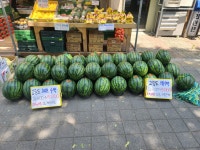 다이뜨라 이곡점