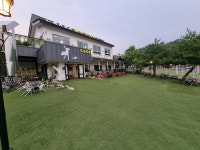 코코애견카페