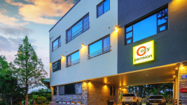 경포코지펜션 애견동반