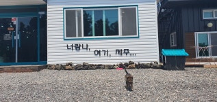 랑이식당