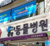 중앙동물병원