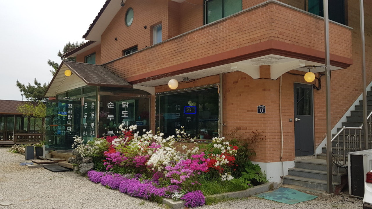 파주골토박이순두부