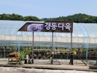 경동다육