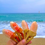 대포대게회직판장