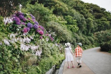 장사도해상공원까멜리아