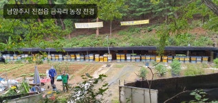 정안양봉