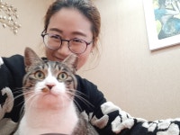 아하타로심리상담소
