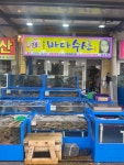 바다수산