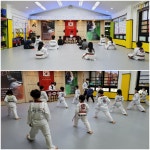 대솔경희대태권도