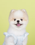 사파리사진관 청주점
